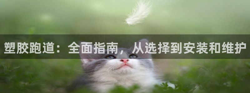 尊龙APP客户端平台：塑胶跑道：全面指南，从选择到安