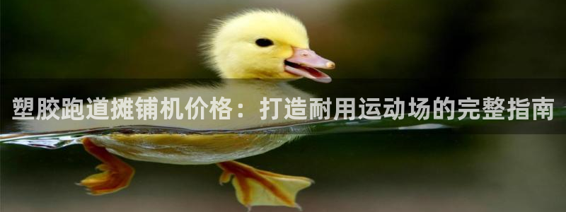 首页尊龙d88国际：塑胶跑道摊铺机价格：打造耐用运动场的完整指南