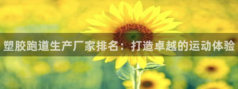 尊龙凯时捕鱼游戏能玩吗：塑胶跑道生产厂家排名：打造卓越的运动体验