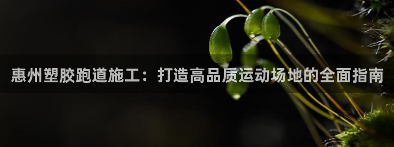 尊龙 5：惠州塑胶跑道施工：打造高品质运动场地的全面