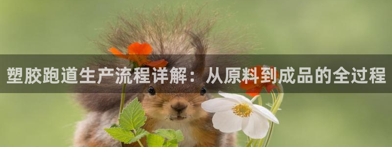 凯时国际app首页下载：塑胶跑道生产流程详解：从原料到成品的全过程