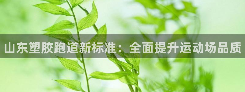 尊龙凯时 - 人生就是搏!：山东塑胶跑道新标准：全面