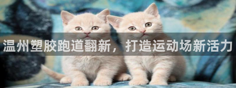 尊龙凯时可以提现吗：温州塑胶跑道翻新，打造运动场新活力