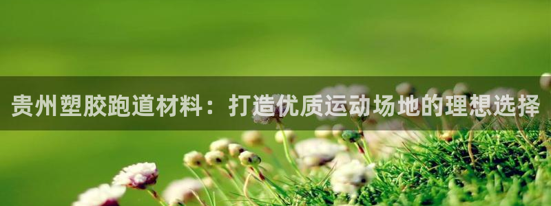 尊龙凯时app官方网站：贵州塑胶跑道材料：打造优质运动场地的理想选择