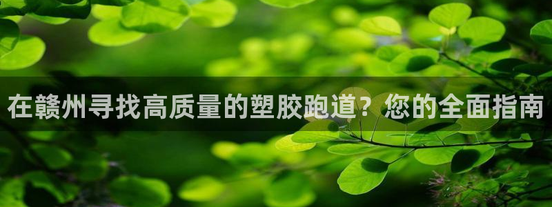 尊龙app怎么样：在赣州寻找高质量的塑胶跑道？您的全面指南