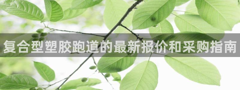 尊龙人生就是博一下下：复合型塑胶跑道的最新报价和采购指南