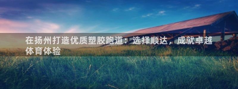 尊龙凯时取钱很慢：在扬州打造优质塑胶跑道：选择顺达，成就卓越
体育体验