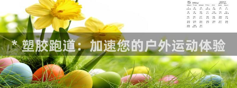 尊龙ag旗舰厅官网登录：* 塑胶跑道：加速您的户外运动体验