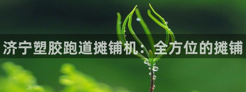 尊龙官方网站最新版V9.3.06介绍：济宁塑胶跑道摊