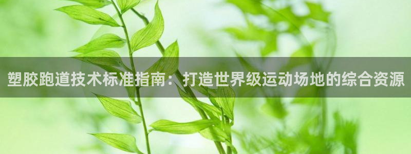 凯时国际娱乐官方网址：塑胶跑道技术标准指南：打造世界级运动场地的综合资源