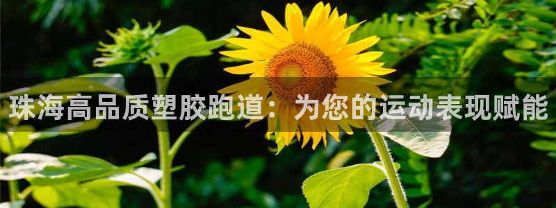 尊龙凯时人生就是博·(中国)官网最新：珠海高品质塑胶