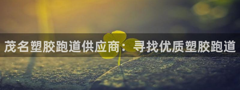 凯时登录首页,凯时K66：茂名塑胶跑道供应商：寻找优质塑胶跑道