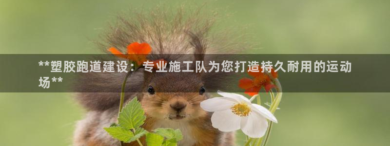 凯时国际官方版：**塑胶跑道建设：专业施工队为您打造持久耐用的运动
场**