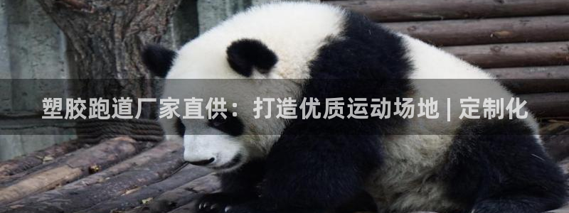 尊龙凯时代理官网入口：塑胶跑道厂家直供：打造优质运动场地 | 定制化