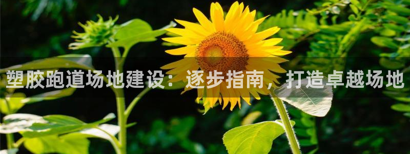 尊龙—人生就是博：塑胶跑道场地建设：逐步指南，打造卓