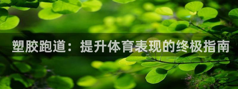 尊龙新版app首页： 塑胶跑道：提升体育表现的终极指