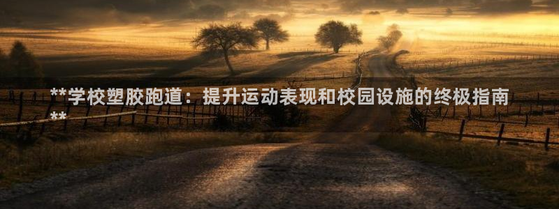 尊龙服饰品牌介绍：**学校塑胶跑道：提升运动表现和校