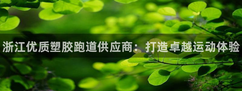 尊龙 贴吧：浙江优质塑胶跑道供应商：打造卓越运动体验