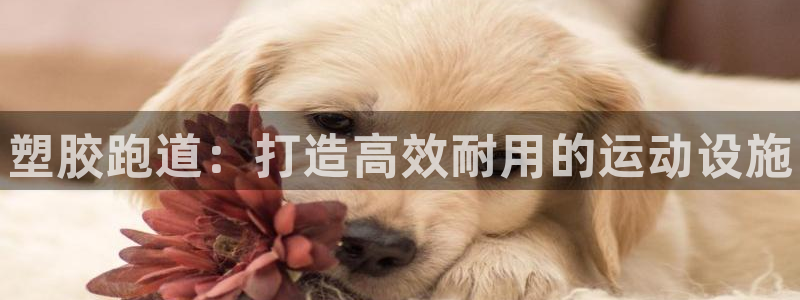 尊龙会ktv价格：塑胶跑道：打造高效耐用的运动设施