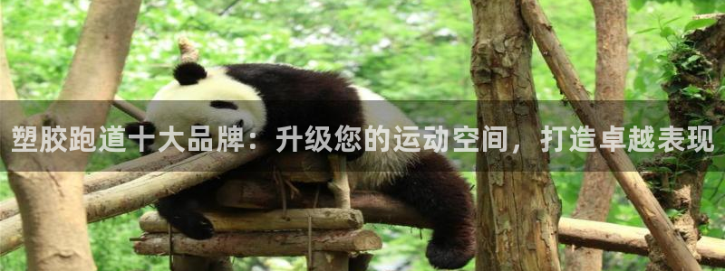 尊龙—人生就是博：塑胶跑道十大品牌：升级您的运动空间，打造卓