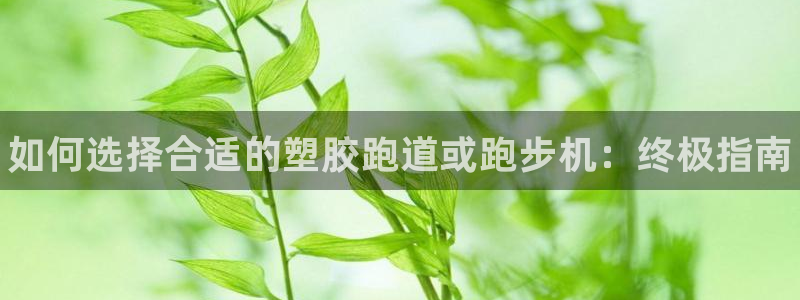 尊龙手机端下载：如何选择合适的塑胶跑道或跑步机：终极指南