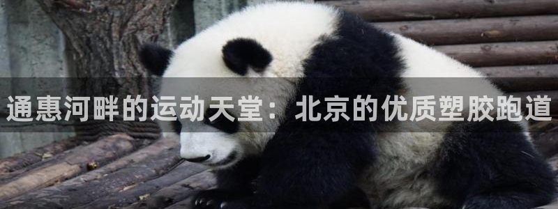 尊龙人生就是博首页入口