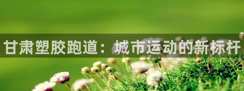 尊龙服饰品牌介绍