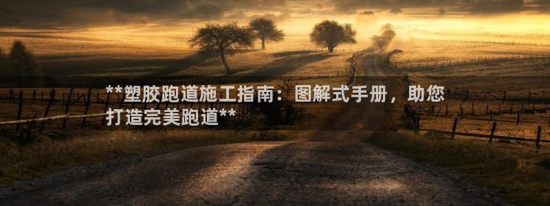 尊龙王t400：**塑胶跑道施工指南：图解式手册，助您
打造完美跑道**