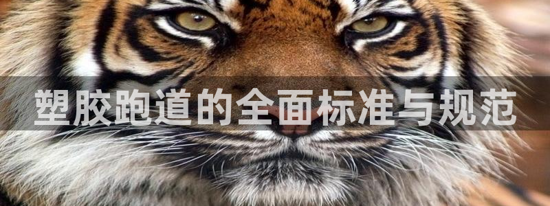 尊龙ag旗舰厅官网官方入口