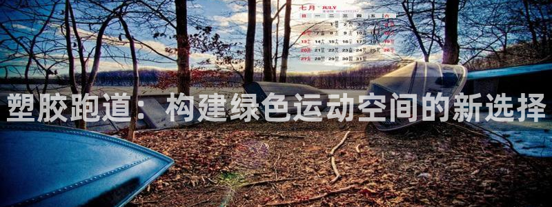 尊龙人生就是博管网：塑胶跑道：构建绿色运动空间的新选择