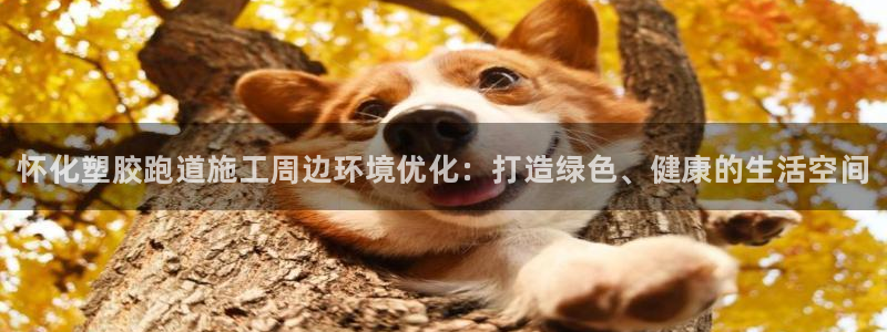 尊龙官网地址：怀化塑胶跑道施工周边环境优化：打造绿色、健康的