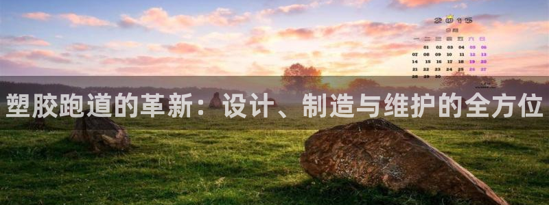 尊龙凯时输了100万：塑胶跑道的革新：设计、制造与维护的全方