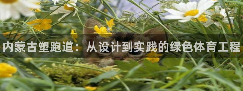 尊龙凯时官网网页版：内蒙古塑跑道：从设计到实践的绿色体育工程